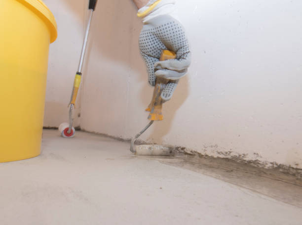 Best Residential Pest Control  in Whitehall, MI